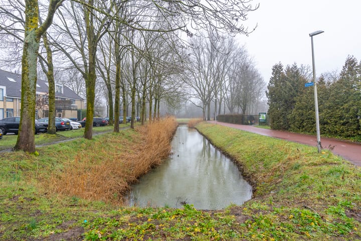 Foto 21 van Texel 55