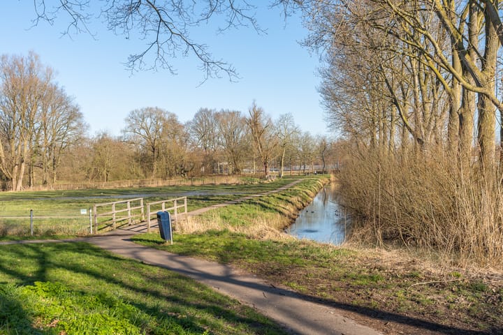 Foto 22 van Texel 55