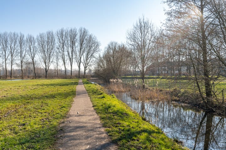 Foto 23 van Texel 55