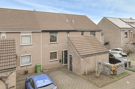 Elise van Calcarstraat thumbnail