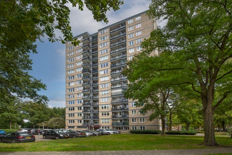 Vanekerstraat thumbnail