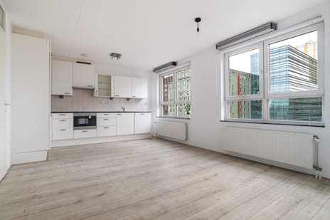 Laan op Zuid 242 tertiary image