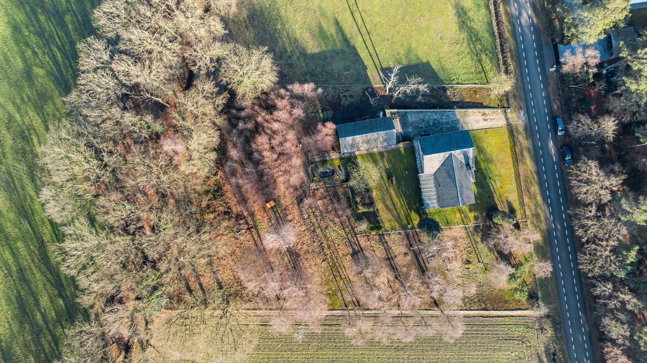 Foto 33 van Diesterbaan 40