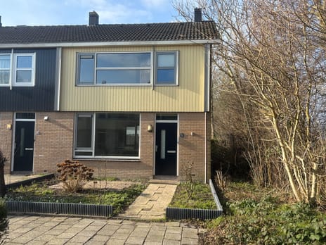 Klimopstraat thumbnail