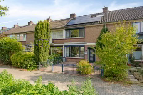 undefined main image