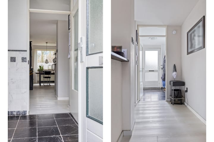 Photo 2 of Tureluur 36