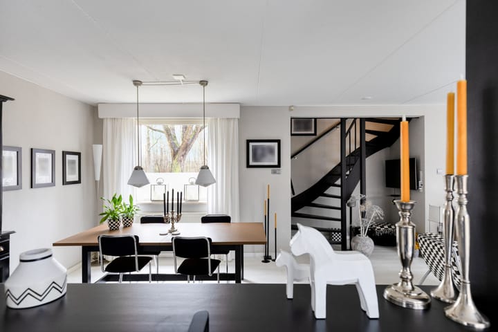 Foto 8 van Tureluur 36