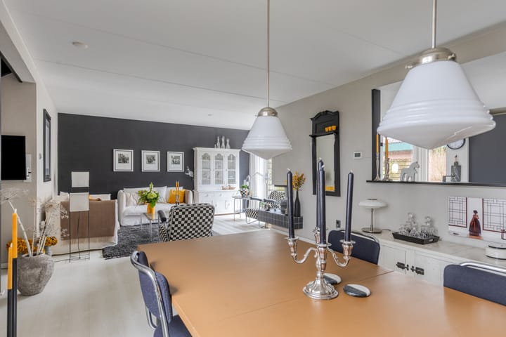 Foto 10 van Tureluur 36