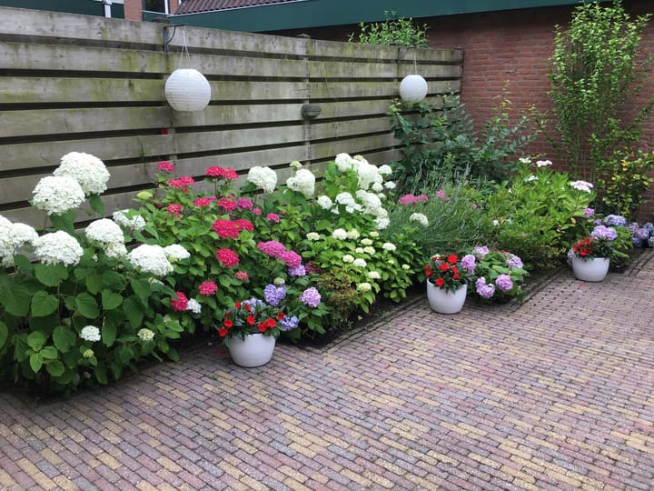 Foto 43 van Tureluur 36