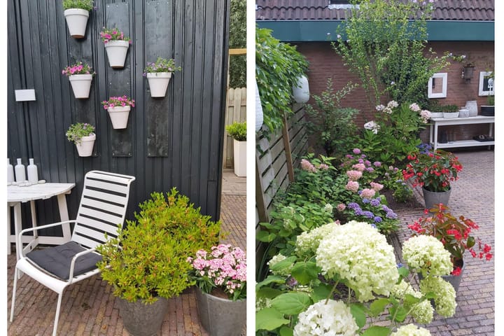 Foto 45 van Tureluur 36