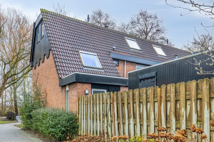 Foto 40 van Tureluur 36