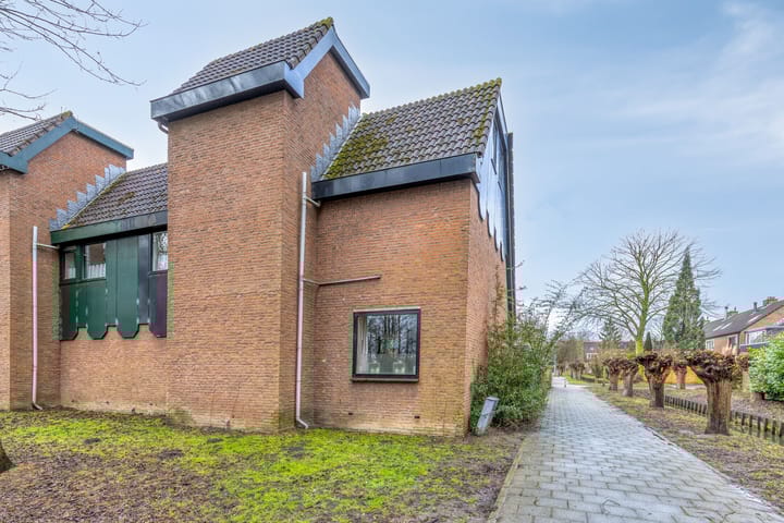 Foto 50 van Tureluur 36