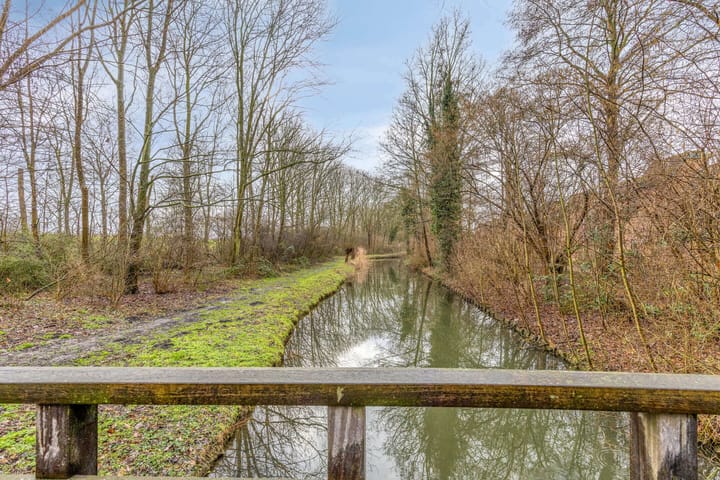 Foto 53 van Tureluur 36