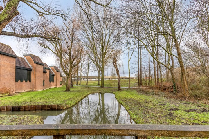 Foto 54 van Tureluur 36