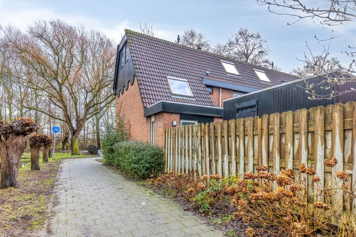 Foto 51 van Tureluur 36