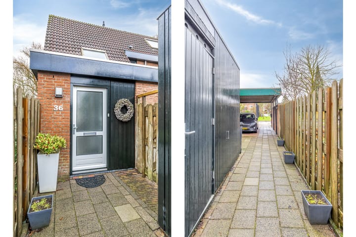 Foto 47 van Tureluur 36