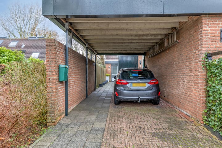 Foto 49 van Tureluur 36