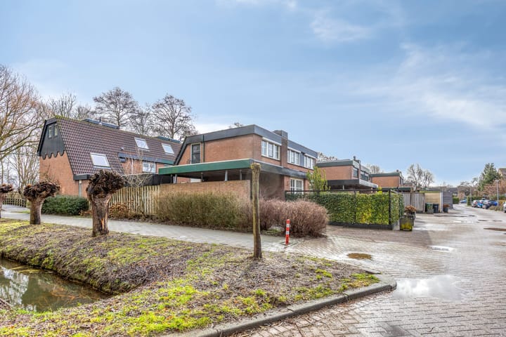 Foto 52 van Tureluur 36