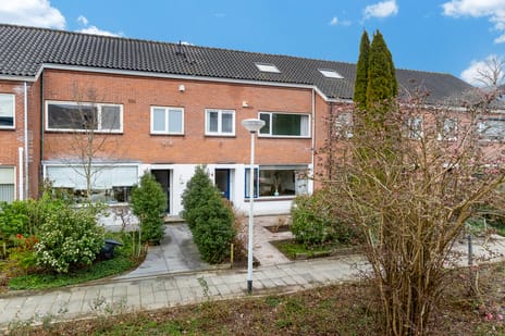 Donge 6 secondary image