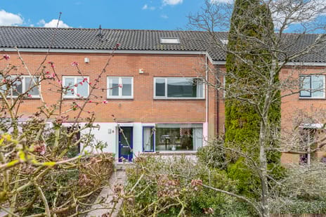 Donge 6 tertiary image