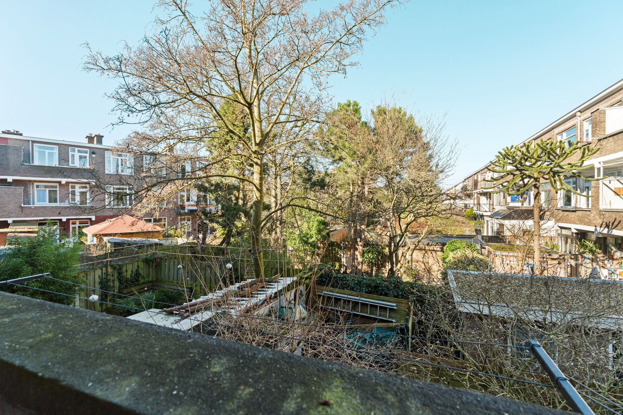 Foto 30 van Indigostraat 105