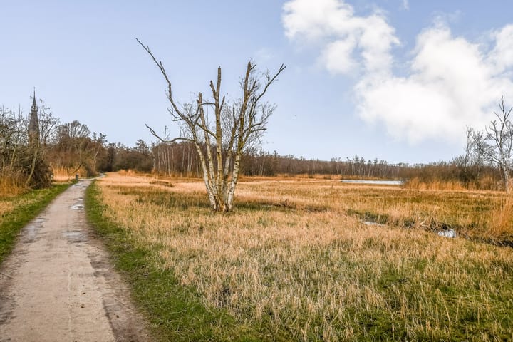Foto 17 van Populierenlaan 45