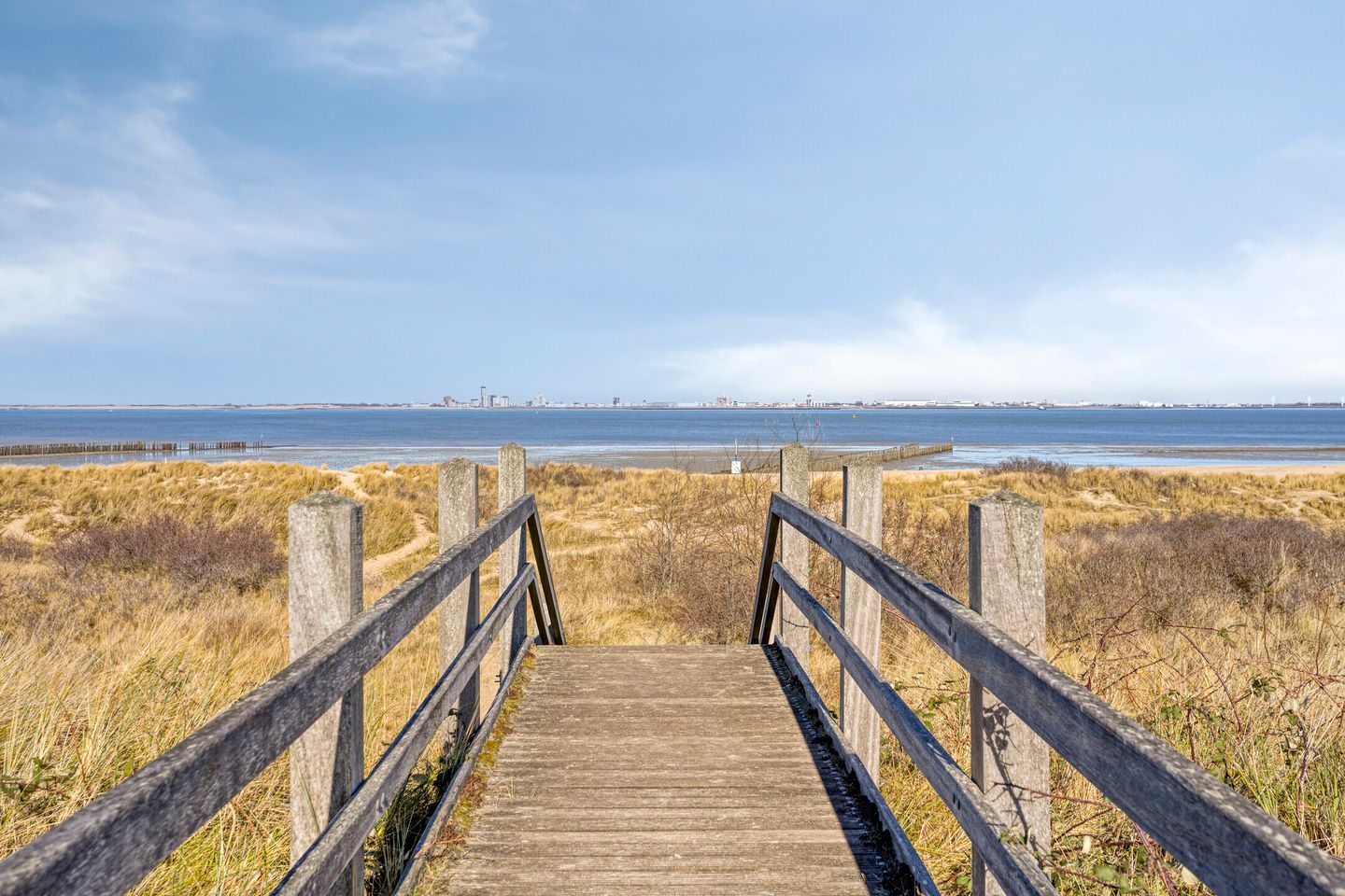 Photo 44 of Promenade 1-004