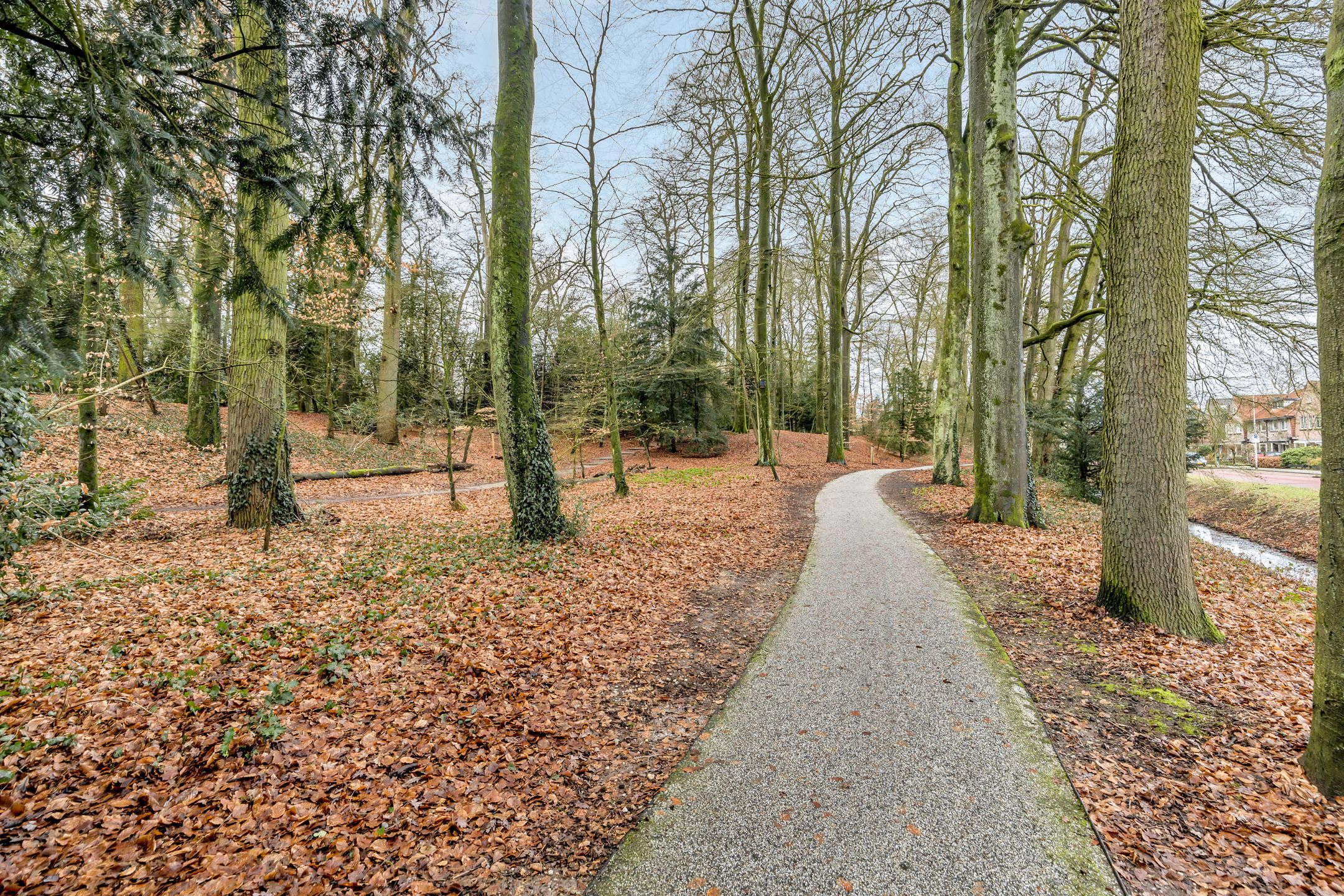 Photo 30 of Bisschopsweg 228