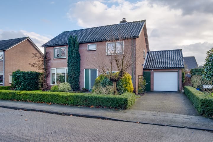 Molenbeek 59 main image