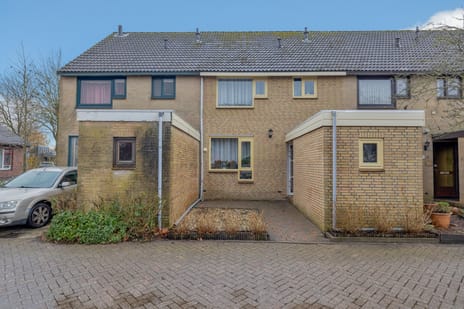 undefined main image