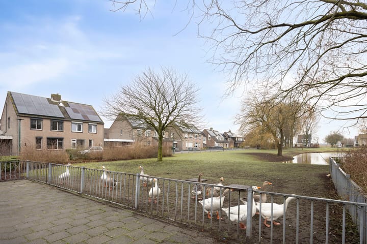 Foto 29 van Roerdomphof 5