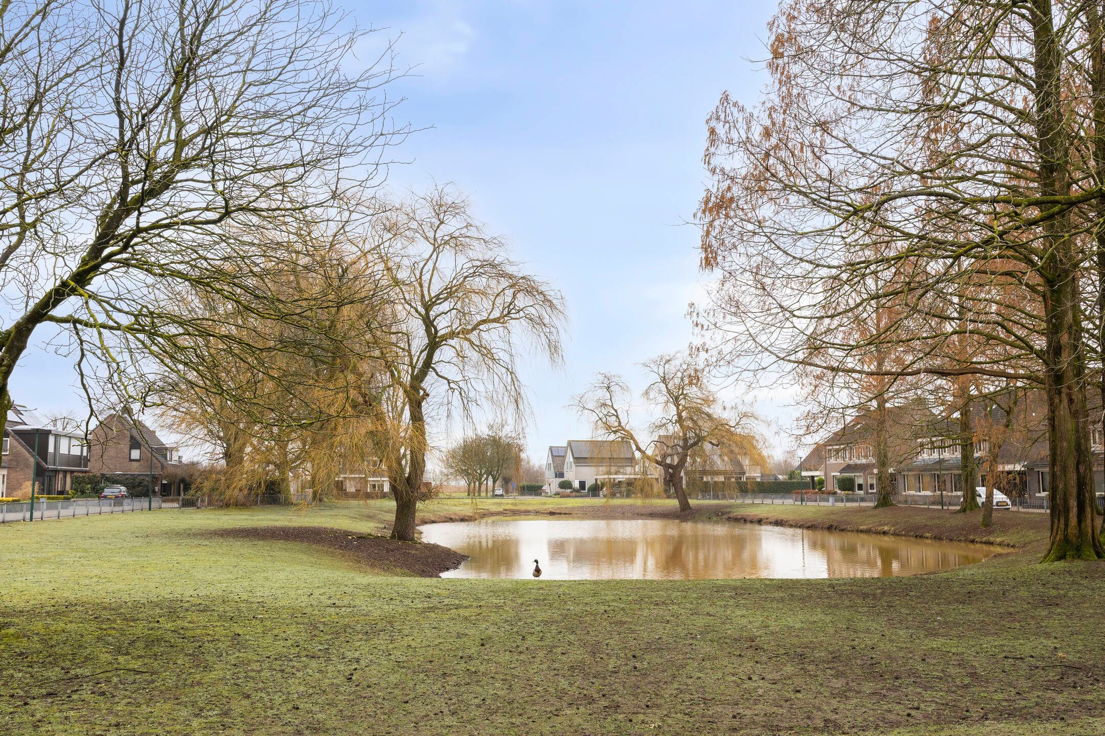 Foto 30 van Roerdomphof 5