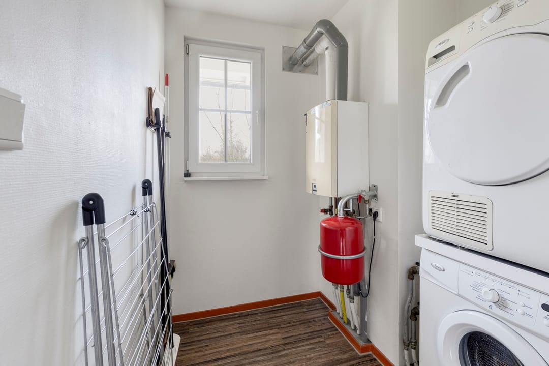 Foto 22 van Klein Vink 4-2336