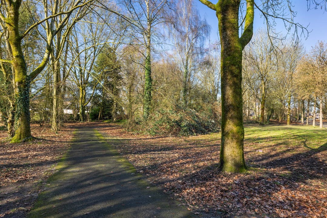 Foto 23 van Doddendaal 77