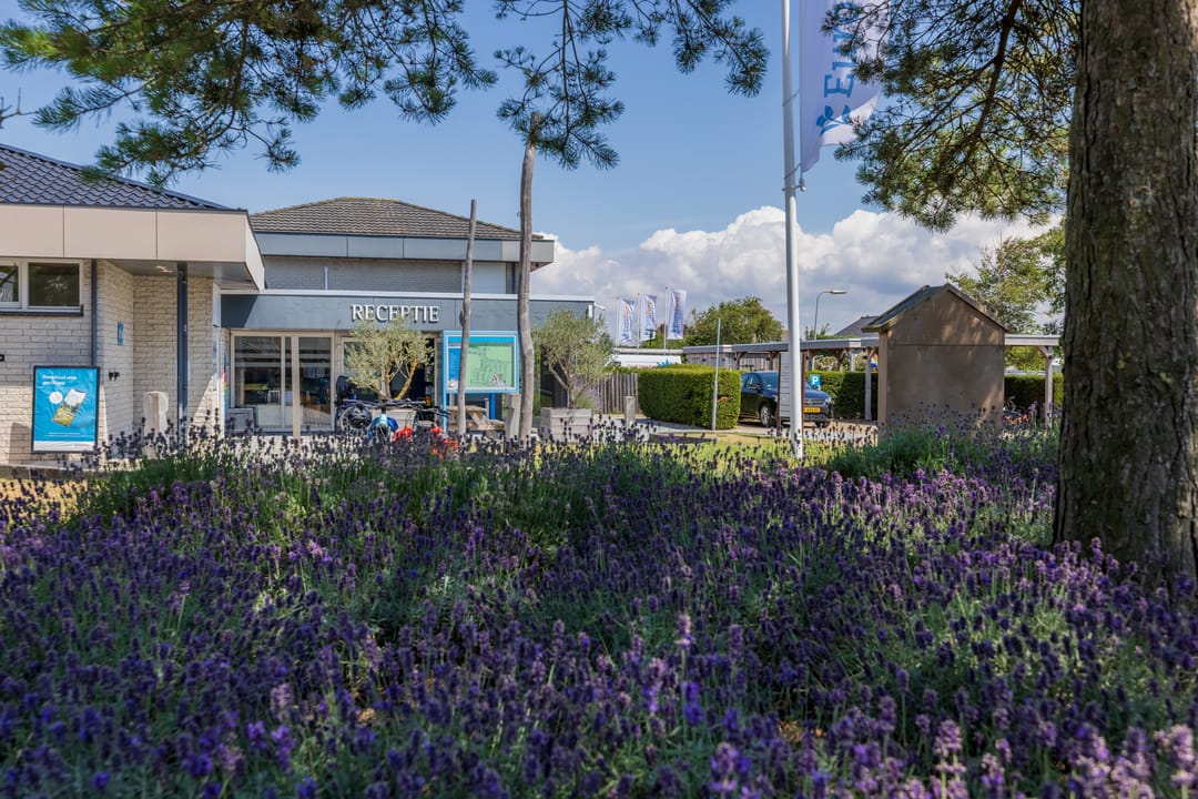 Foto 31 van Kraaierslaan 7