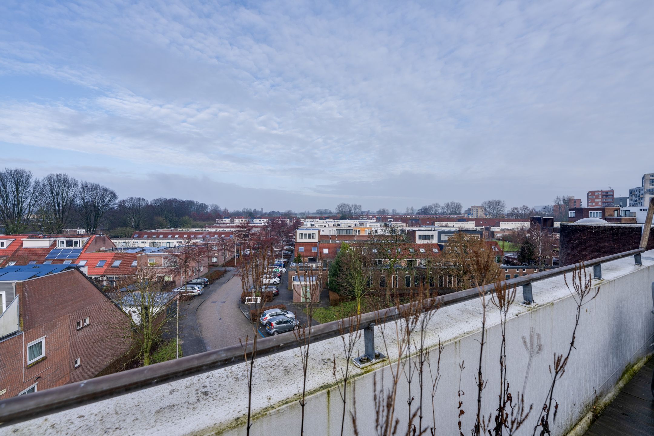 Foto 45 van Meelbeskamp 115