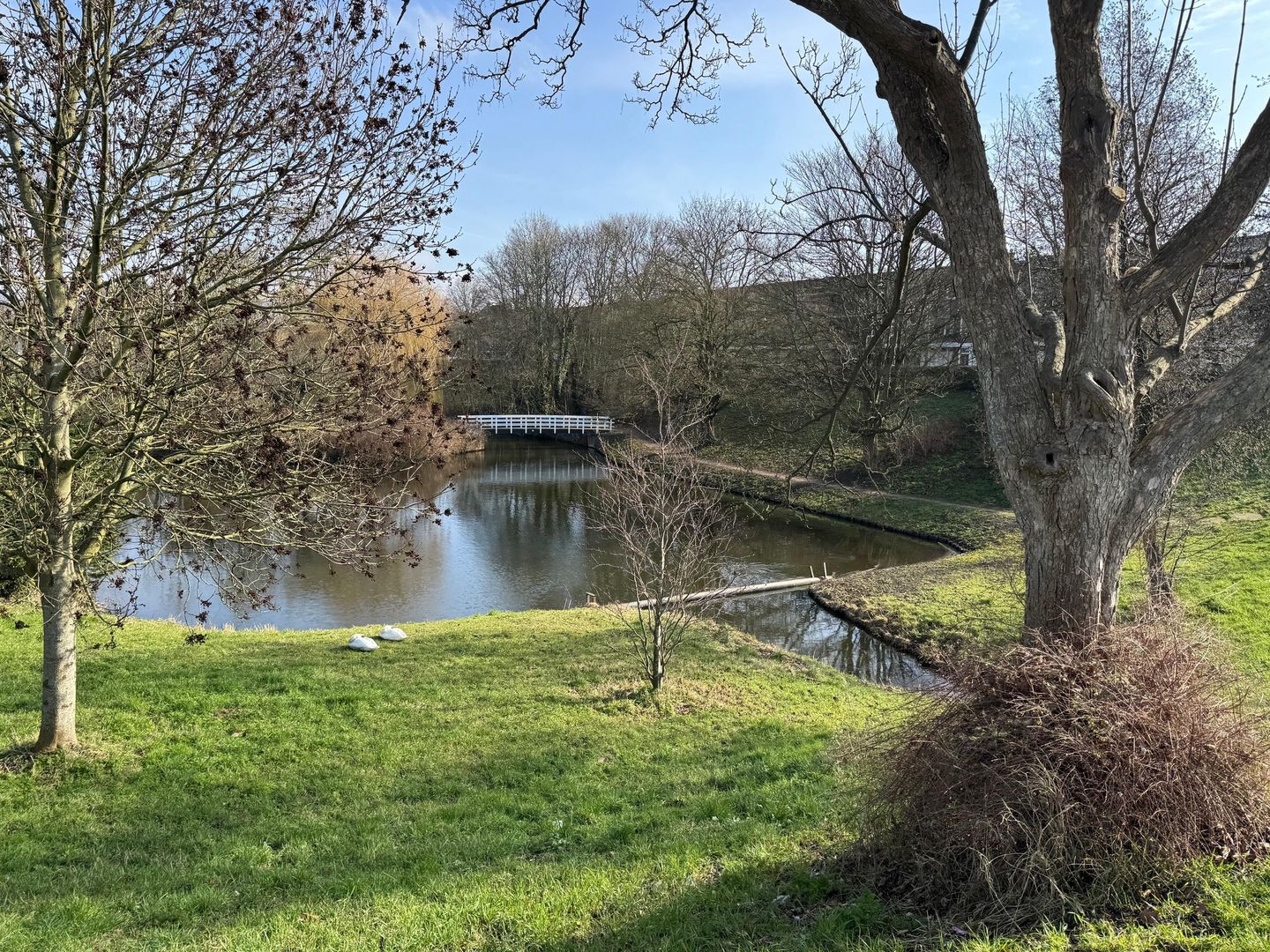 Photo 20 of Aleidastraat 126-A2