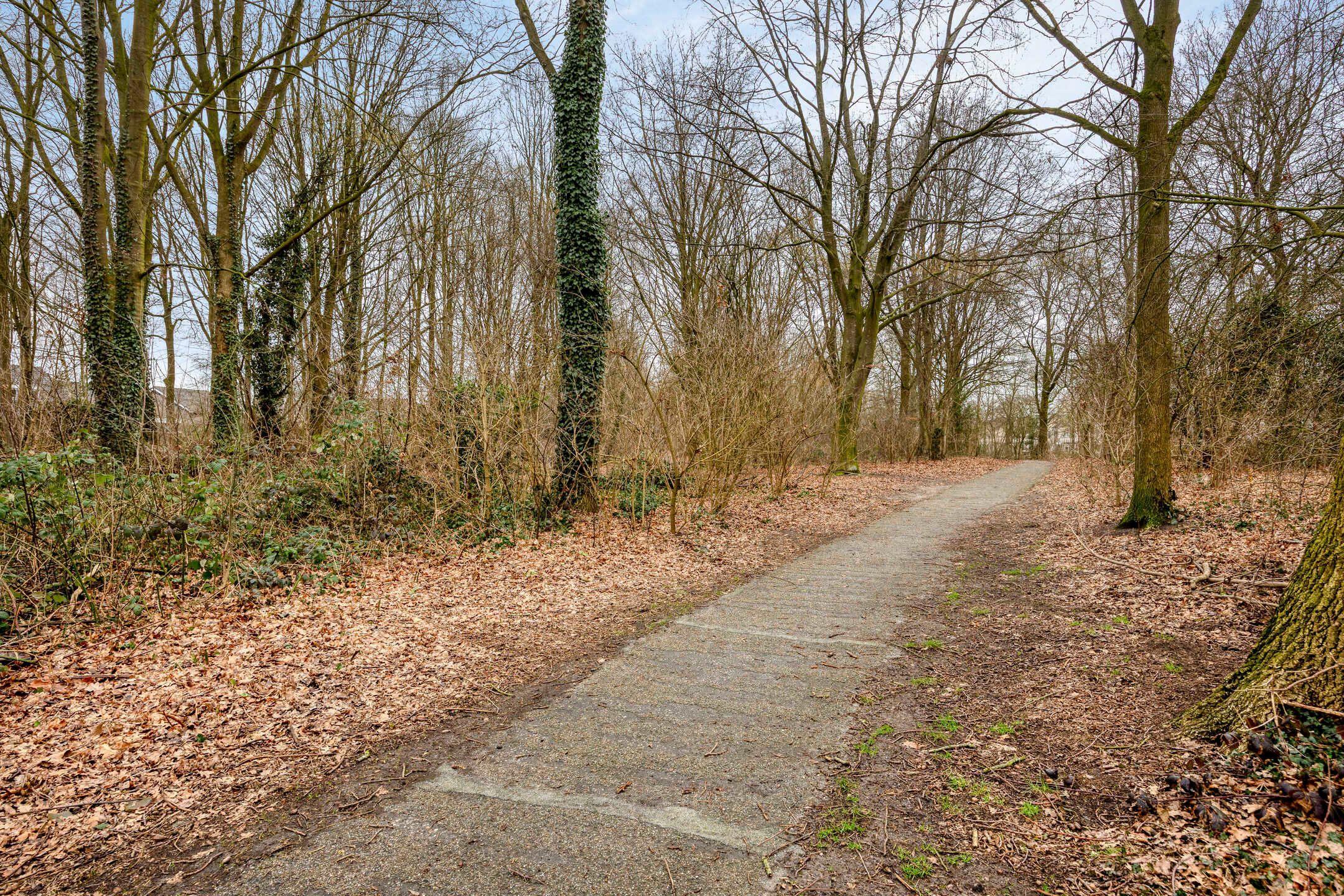 Spacious Detached Villa on Large Plot in Haaksbergen — 81