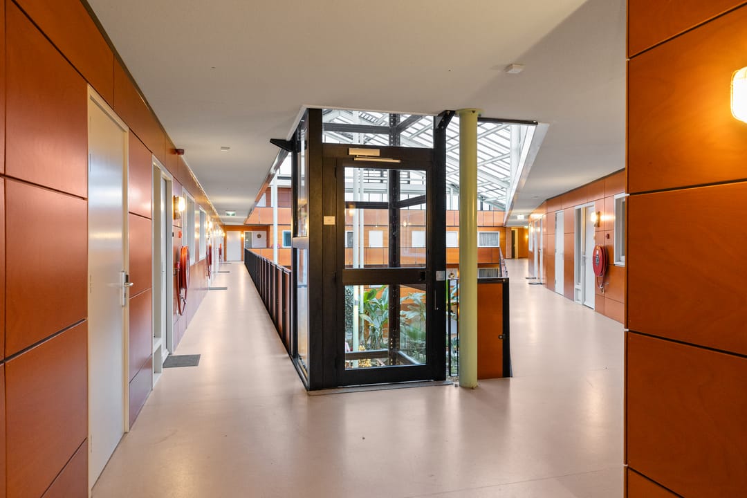 Photo 2 of Drooghe Bol 2040