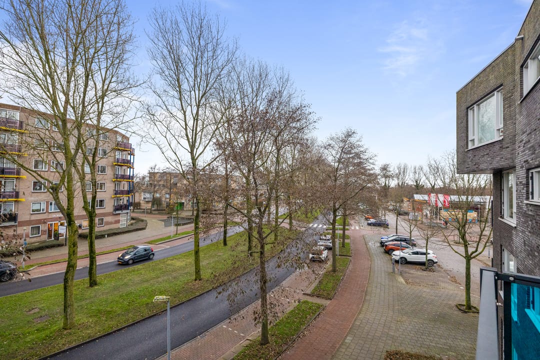 Photo 11 of Drooghe Bol 2040