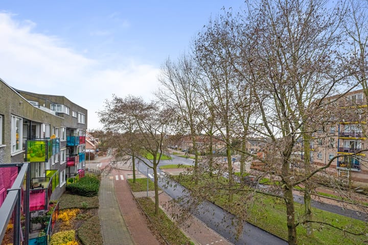 Foto 12 van Drooghe Bol 2040