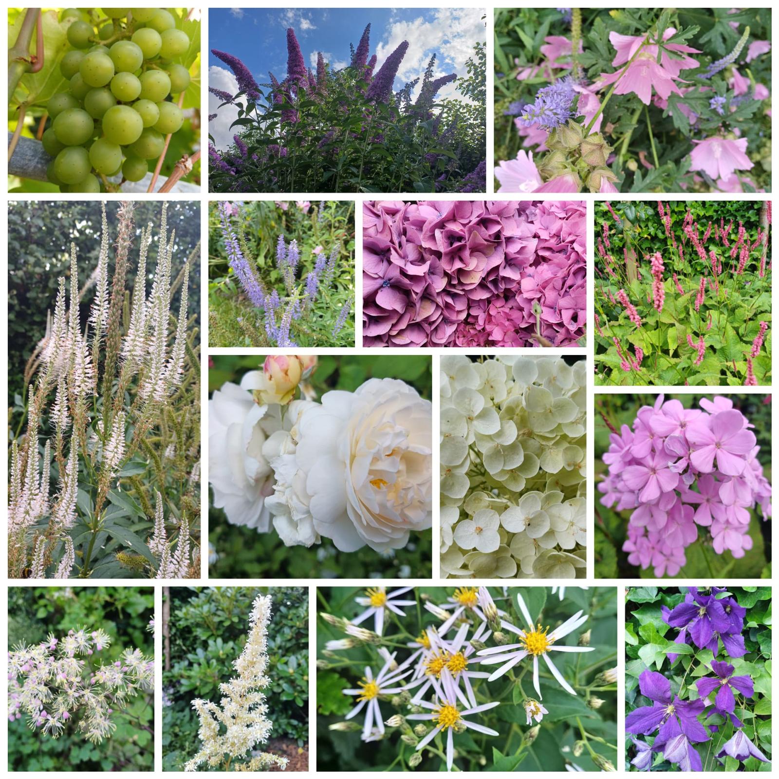 Foto 48 van Zonstraat 2