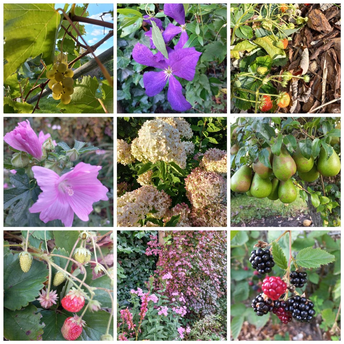 Foto 49 van Zonstraat 2