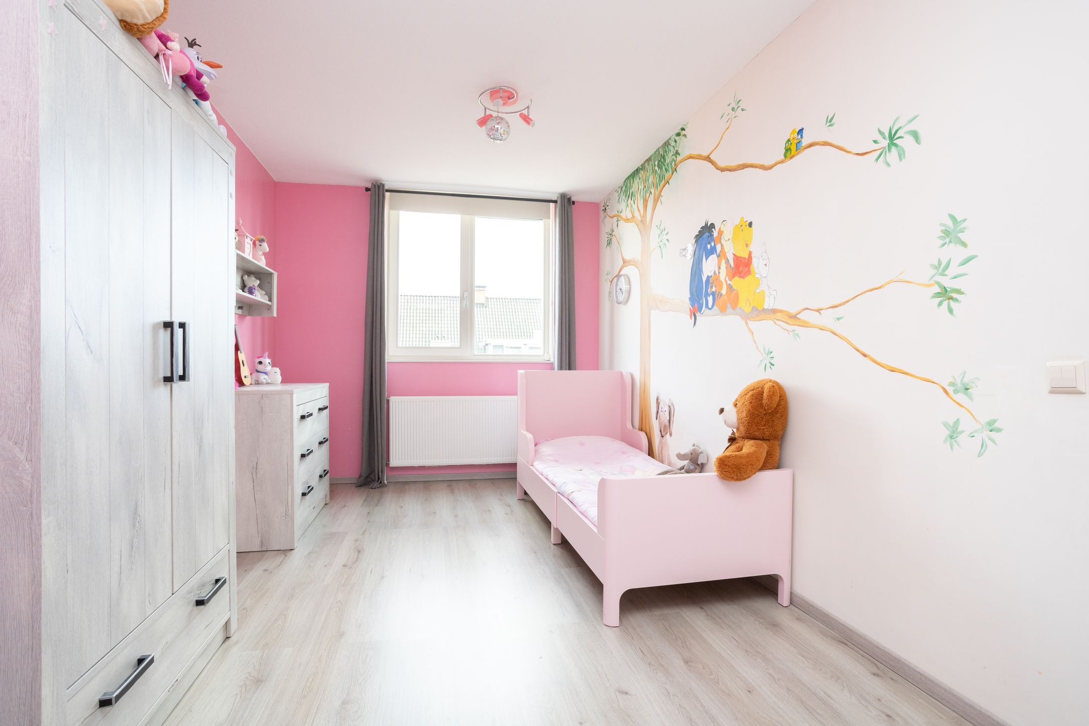 Photo 27 of Ad van der Steurzoom 78