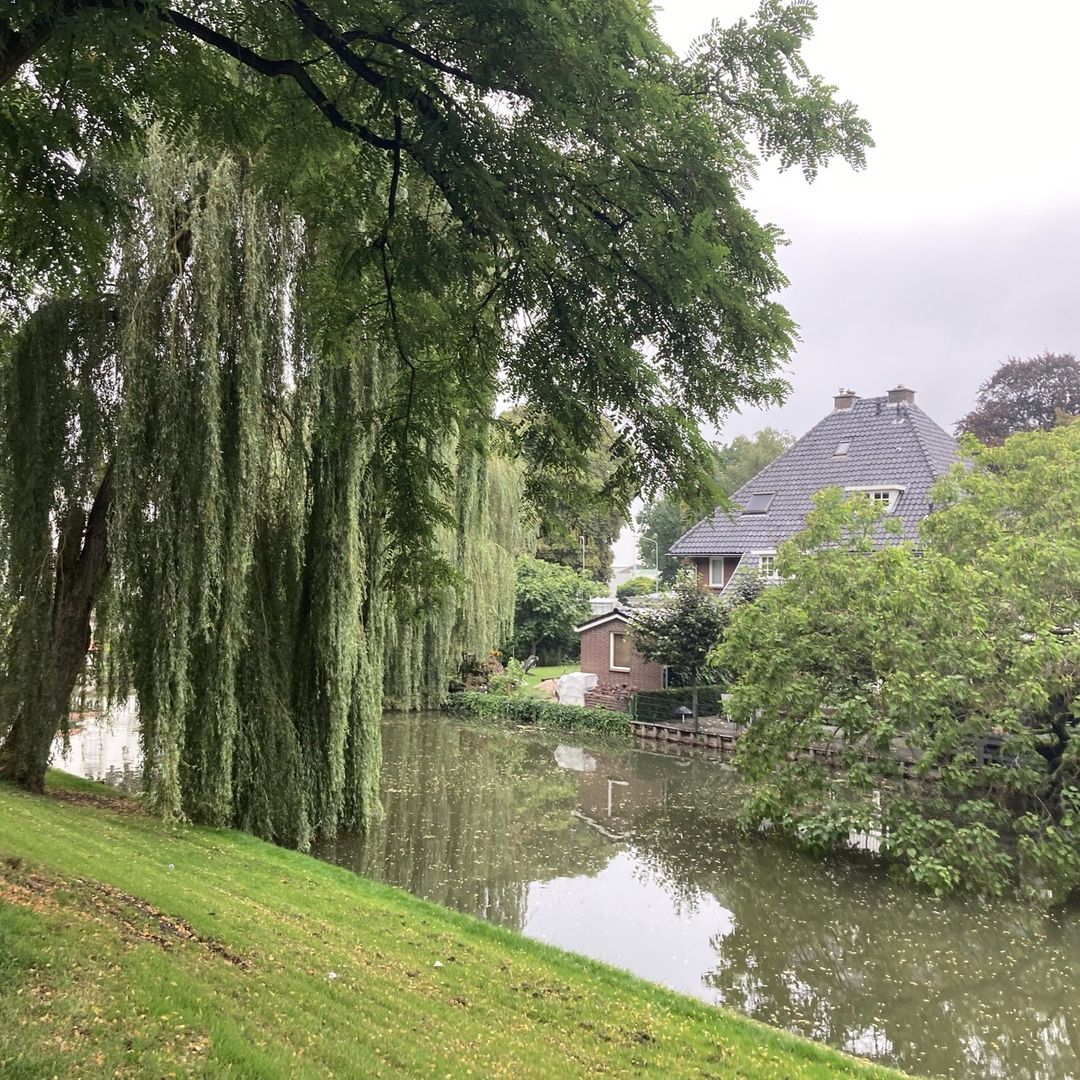 Photo 11 of Oliemolenwal 83