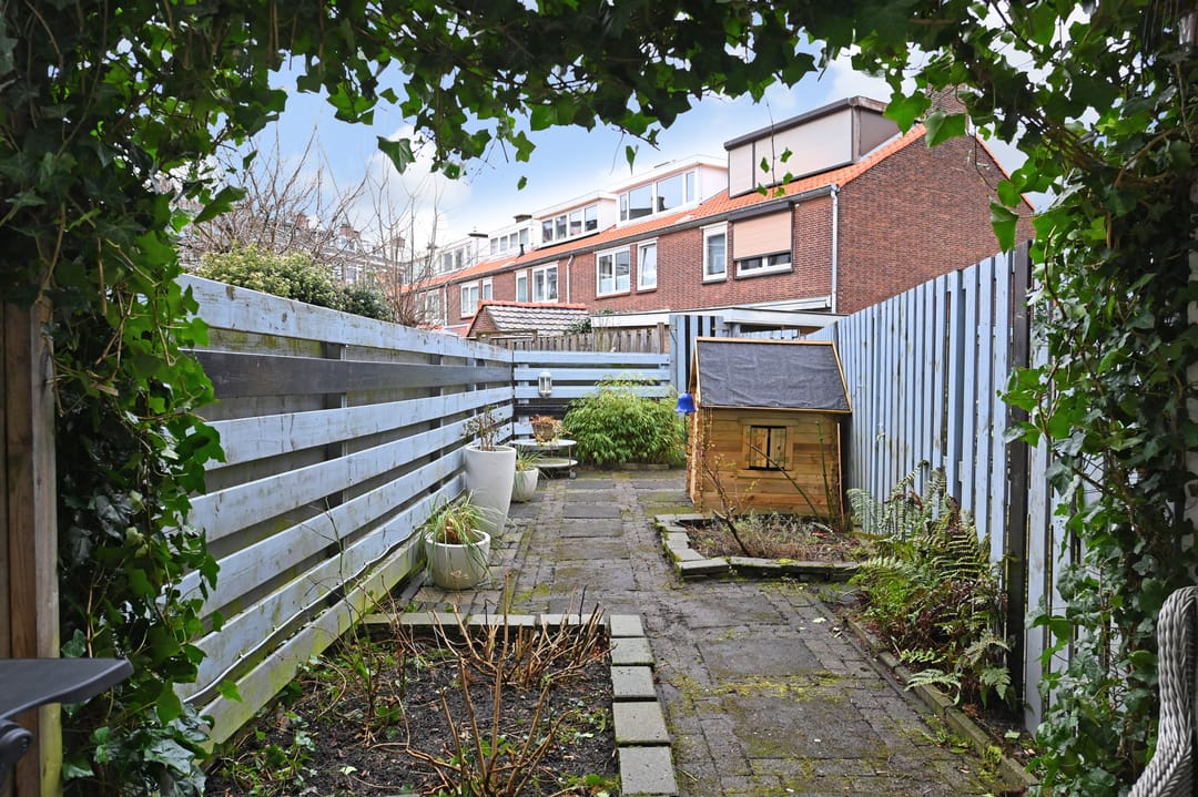 Foto 17 van Werkhovenstraat 161