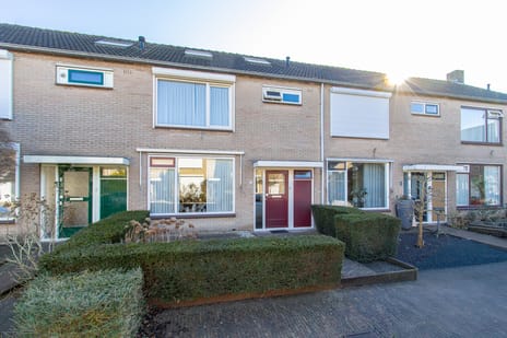 Kievitstraat thumbnail