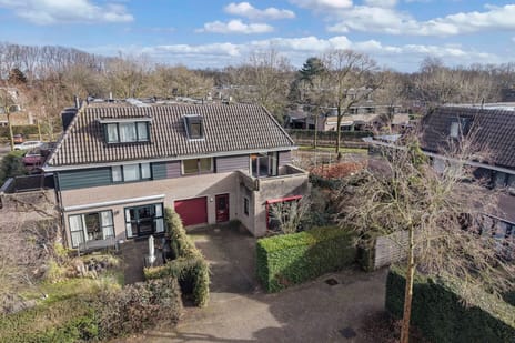 undefined main image