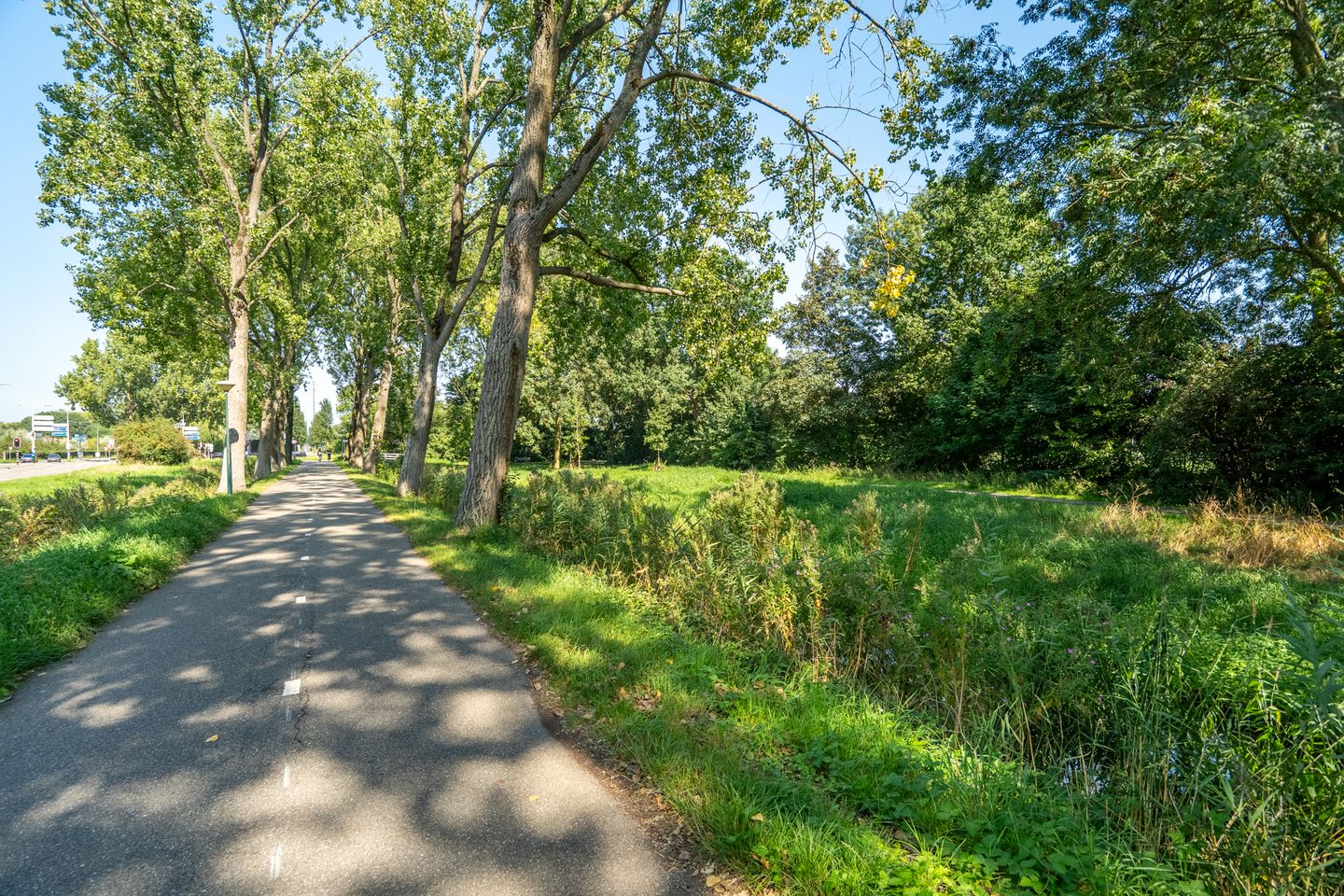Foto 44 van Stromenlaan 11