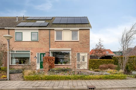 undefined main image